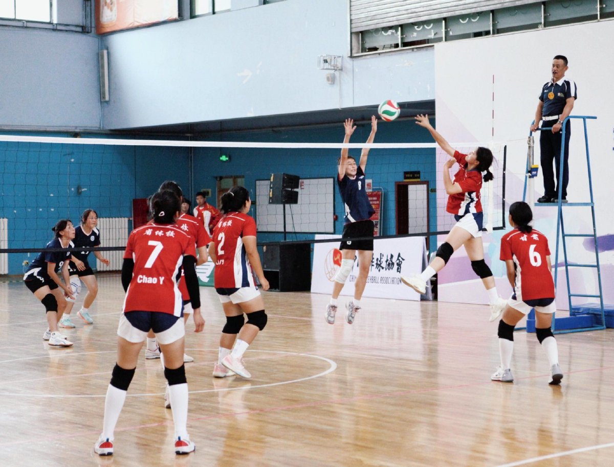 技术流与激情碰撞，排球决赛再创新高的简单介绍