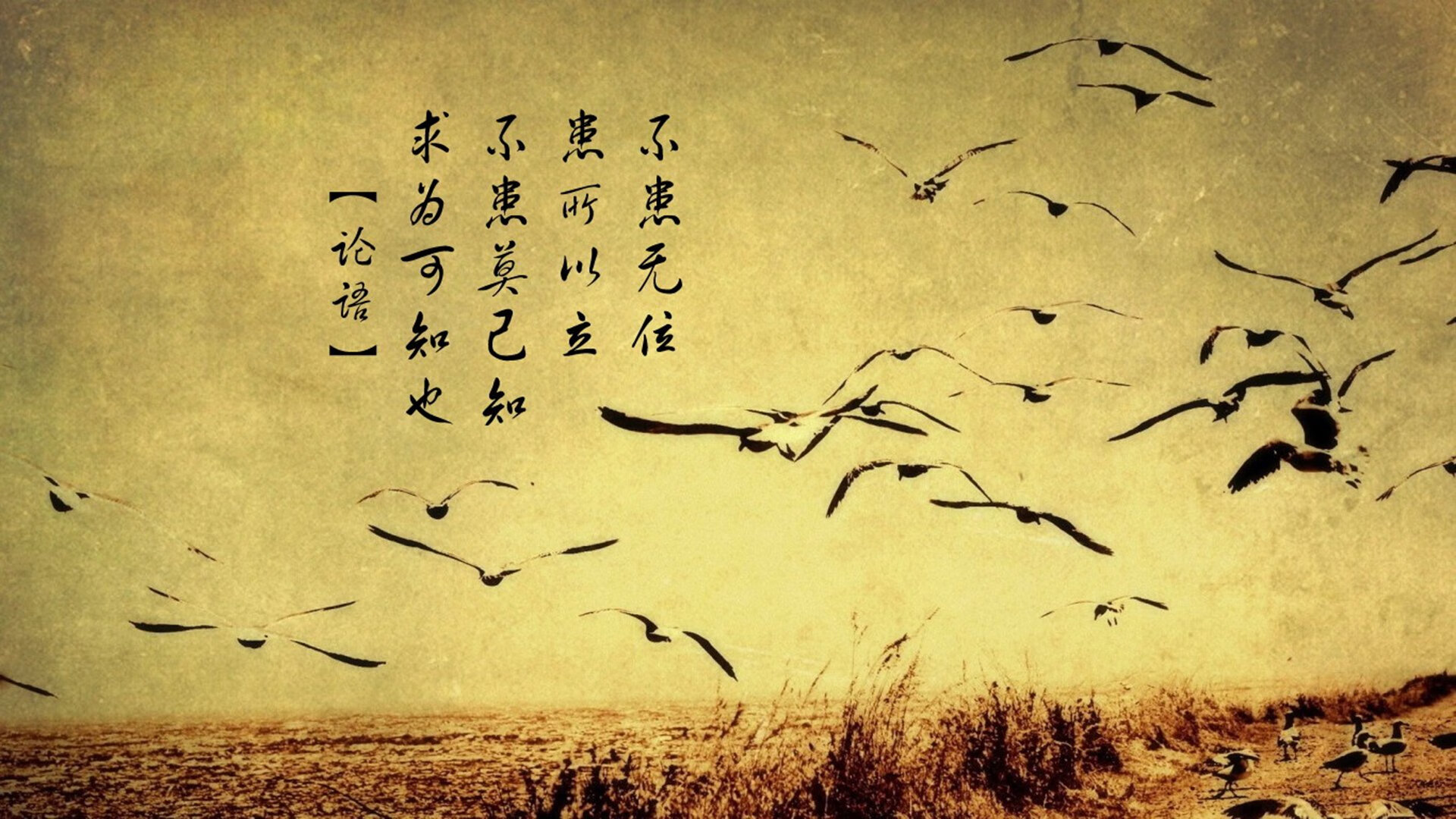 王者之师铁骑踏破京城!伦纳德化身关键先生导演狂胜之夜