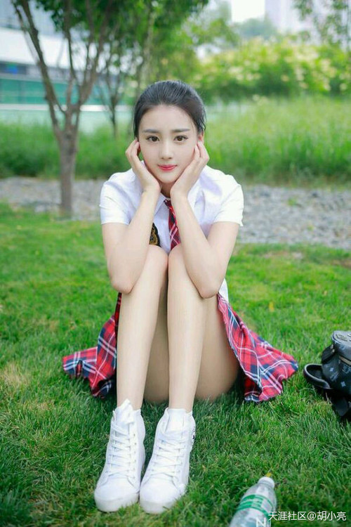 从历史交锋到战术碾压,德国战车如何打穿瑞典的钢铁防线