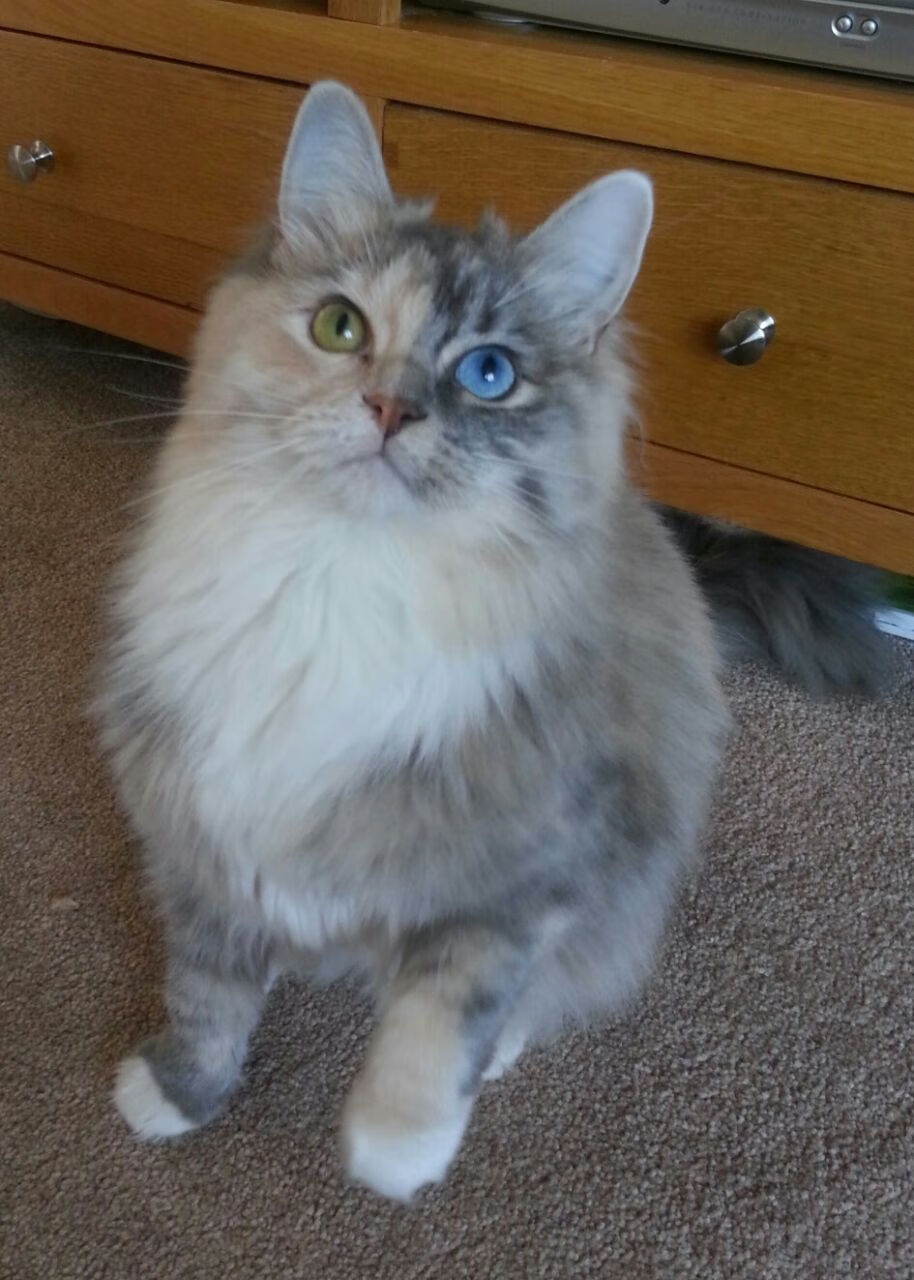 星光与风暴,维尼修斯刷新纪录与哥伦比亚掀翻玻利维亚的双重奏