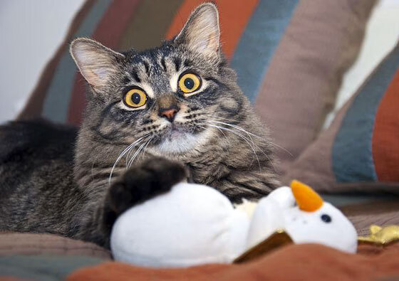 屠龙后斩神，杜兰特如何让雄鹿横扫爵士成为艺术