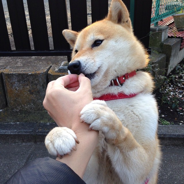 美加墨世界杯焦点战，吉林队单节狂飙拉开鹈鹕，跨界友谊赛引爆全球热潮