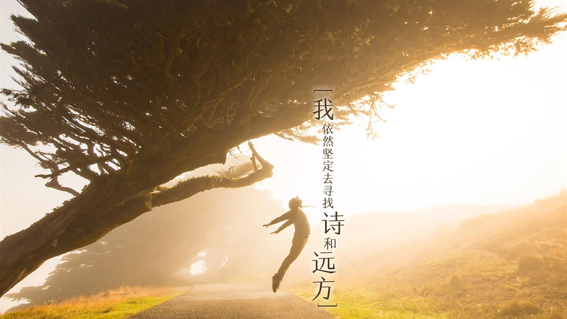 冰山消融在孤星之夏，B费掌舵，瑞士精密战车碾碎维京战吼