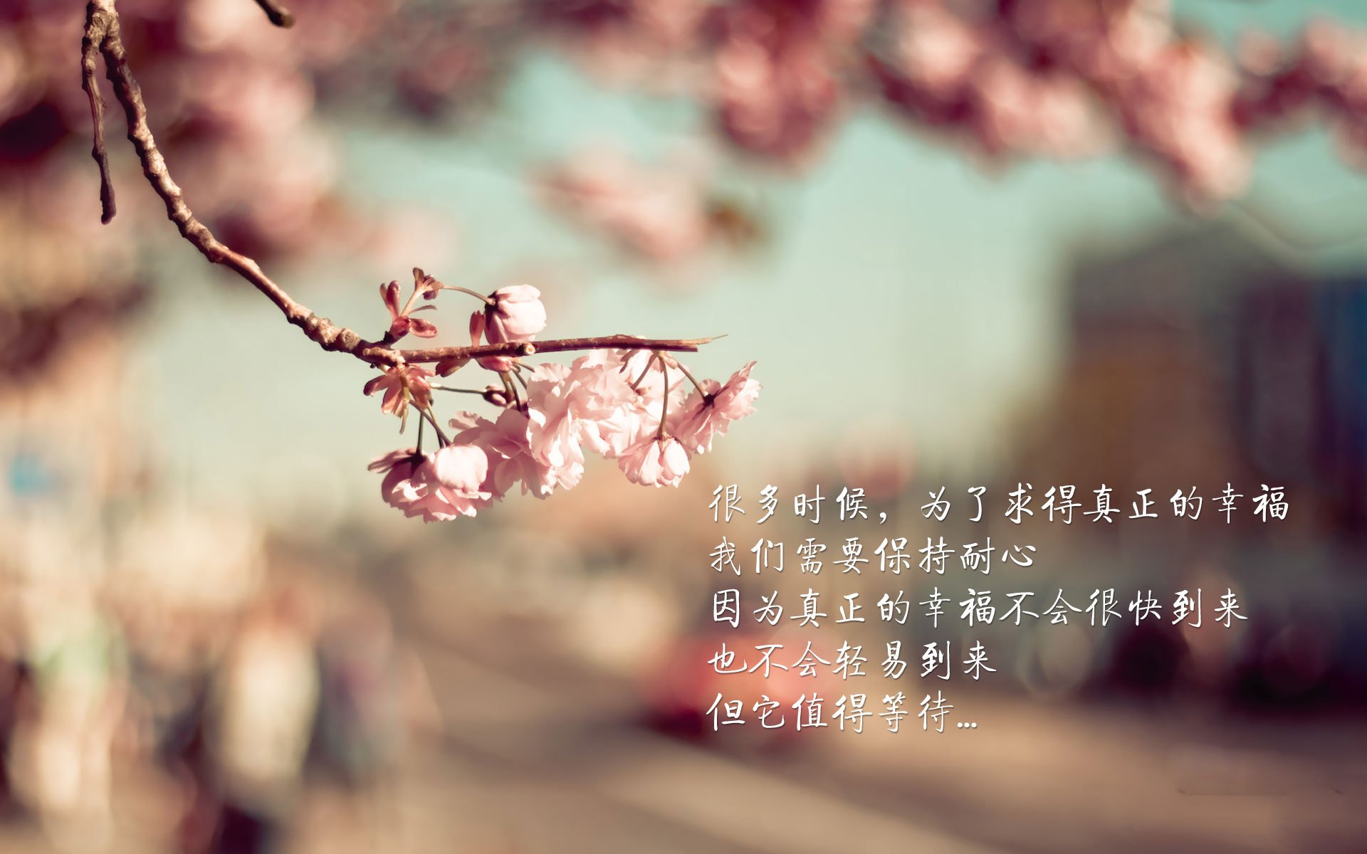 暗夜金童，2026，当加维用斗牛士的脚步，踏穿东南亚的铜墙铁壁